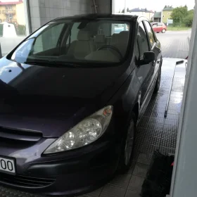 peugeot 307 2,0 +LPG 