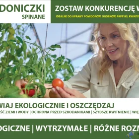 Rozsada – doniczki do warzyw