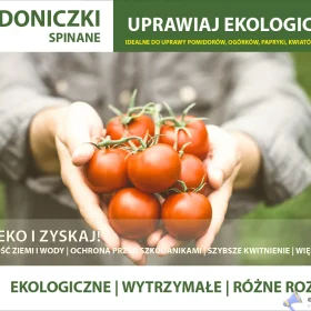 Uprawa Warzyw – doniczki do szklarni